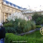 Lotus von Othoniel im Petit Palais