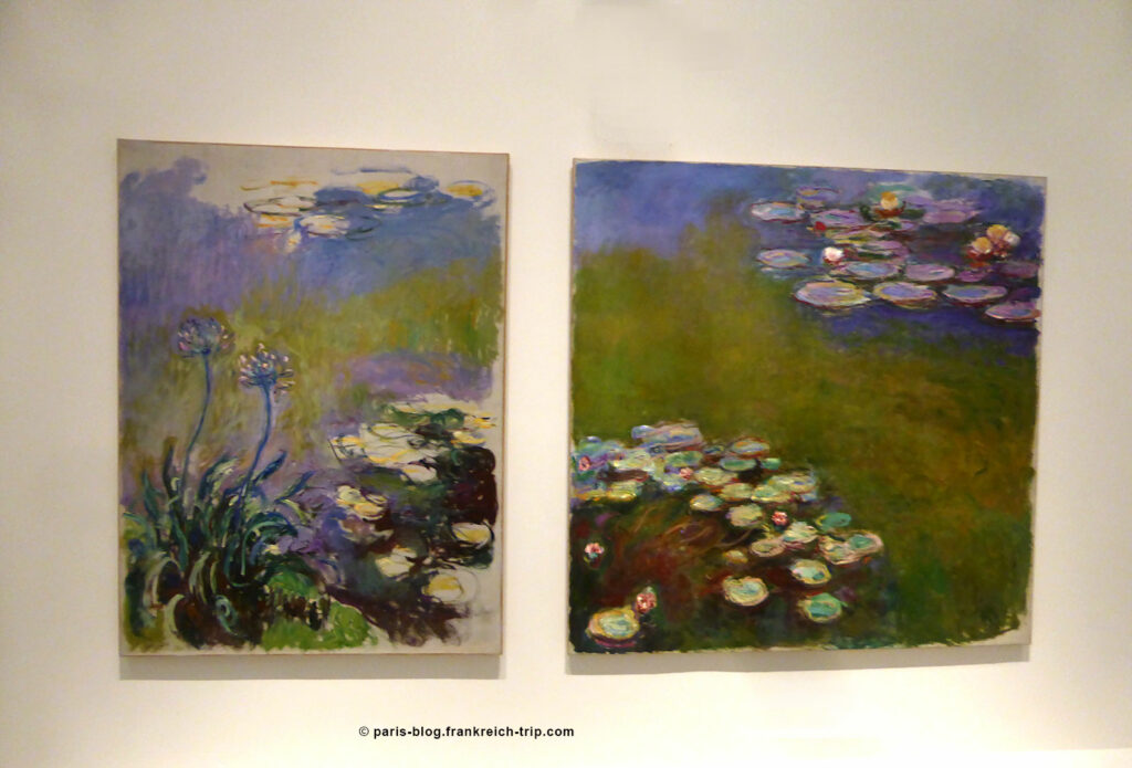 Seerosen Agapanthus Dekoration Claude Monet